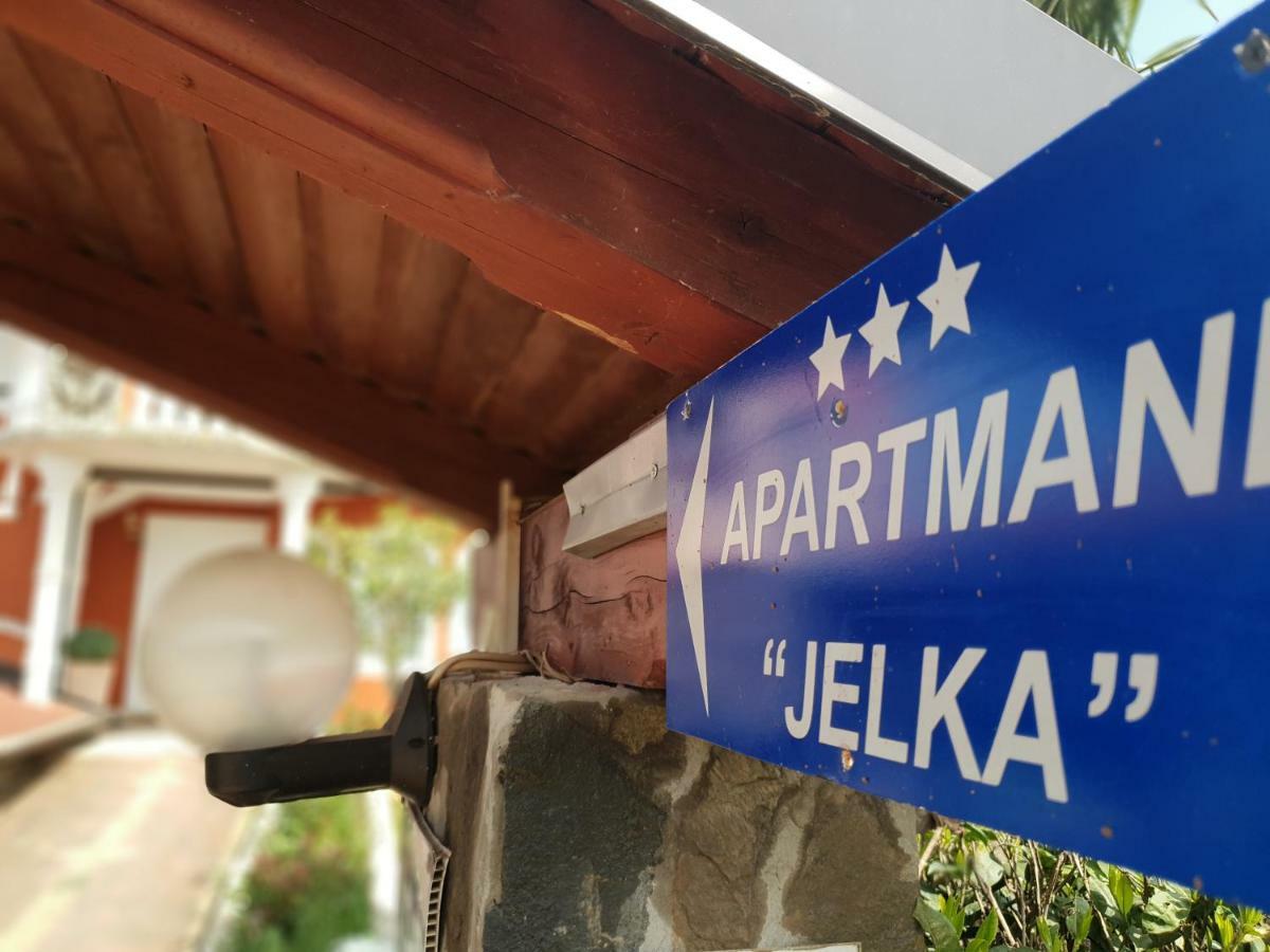Apartma Jelka Novigrad  Exterior photo