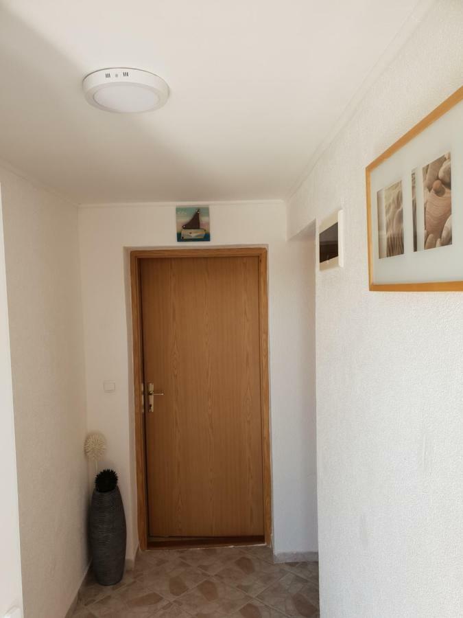 Apartma Jelka Novigrad  Exterior photo