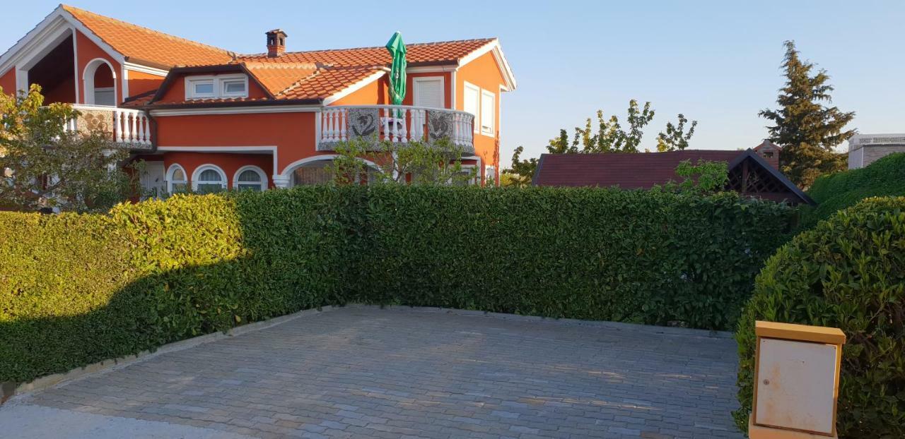 Apartma Jelka Novigrad  Exterior photo